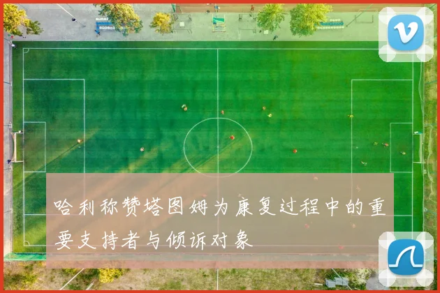 哈利称赞塔图姆为康复过程中的重要支持者与倾诉对象